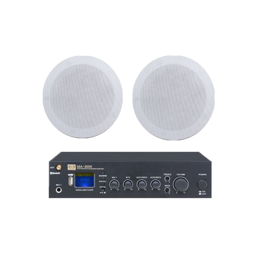 Public broadcast audio (restricted)